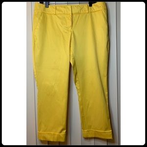 NY&Co Cropped Pants